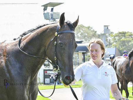 HULL’S MOST SATISFYING TRIUMPH WITH COMEBACK FERINZO