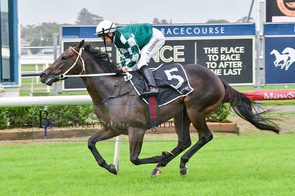 PACY NEWCASTLE FILLY READY TO MAKE HER MARK IN TOWN