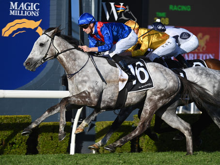 GIBBONS CHASING BACK TO BACK WYONG CUPS