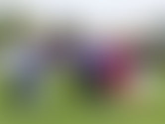 PILKINGTON STATES HIS CASE FOR FOUR PILLARS SUCCESS