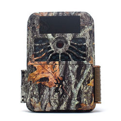 Trail Cam