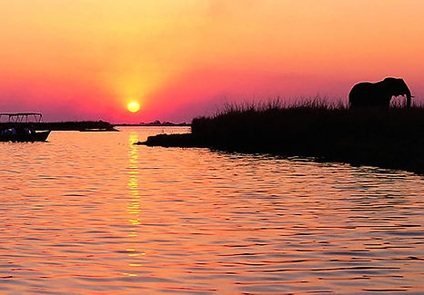 sunset cruiser chobe.jpg