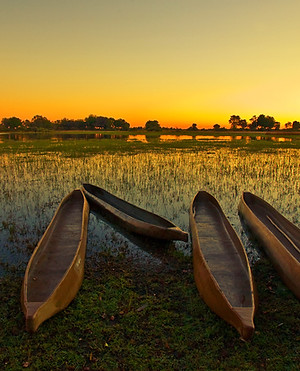 okavango.jpg