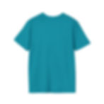 A high-quality plain royal blue crew neck t-shirt featuring a soft cotton texture and a classic fit.