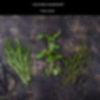A variety of fresh herbs