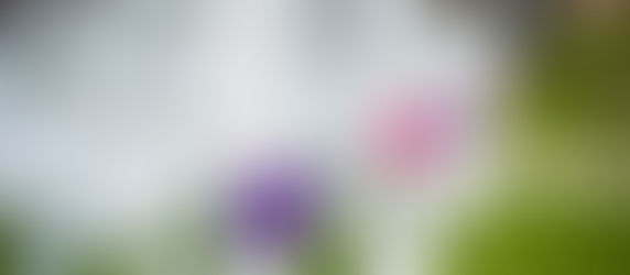 Wedding Reception at Winters Barns - Friday 17th May 2019