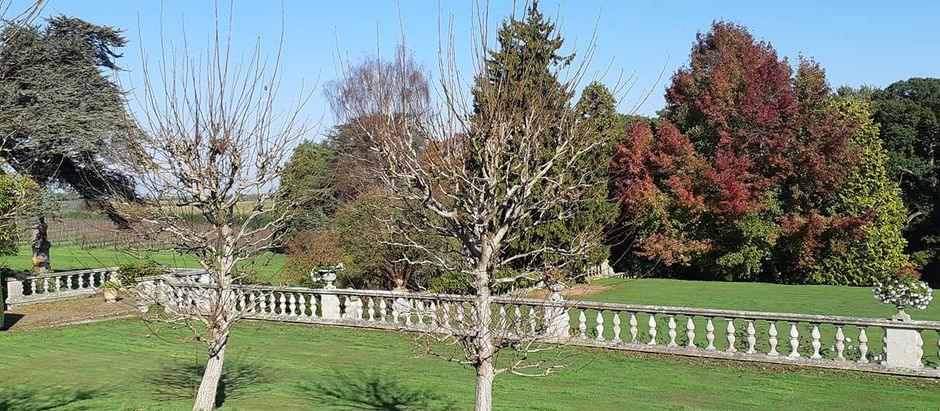 Wedding Reception at Mount Ephraim - Sunday 17th August 2014