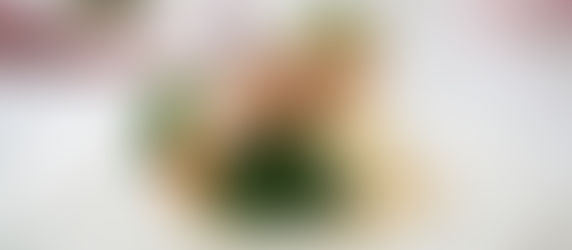 Wedding Reception at Hayne House - Thursday 25th July 24