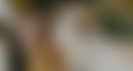 Wedding Reception at Bradbourne House - Saturday 10th August 2013