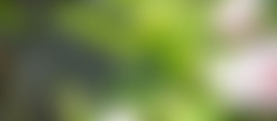 Wedding Reception at Winters Barns - Friday 18th October 2019 