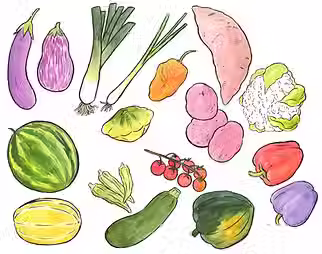 Shifting Seasons: How to Store Your Summer Produce