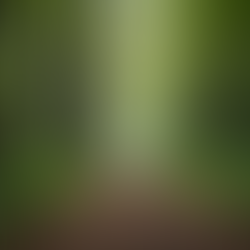 Steps to Developing Psychic Abilities and Enhancing Intuition