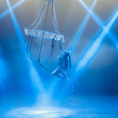  Aerialist1 3 of 23.jpg