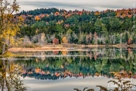 reworks LD Logo 19.jpg