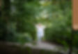 2591314c-196a-48ce-90ce-31f8280834e2.jpeg