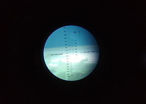 IMG_20210728_183747.jpg