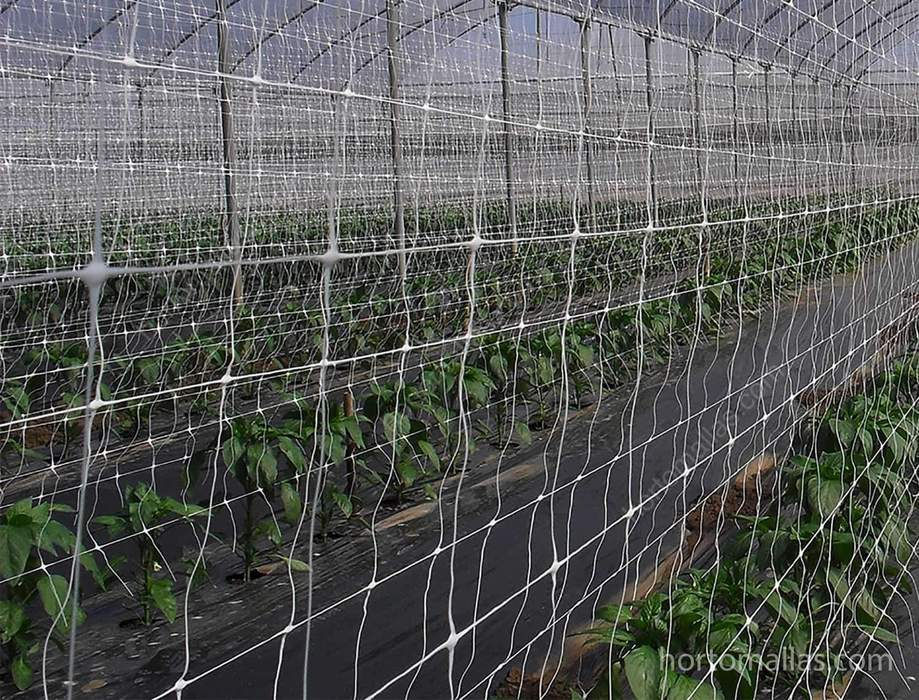 Thumbnail: SCROG Netting