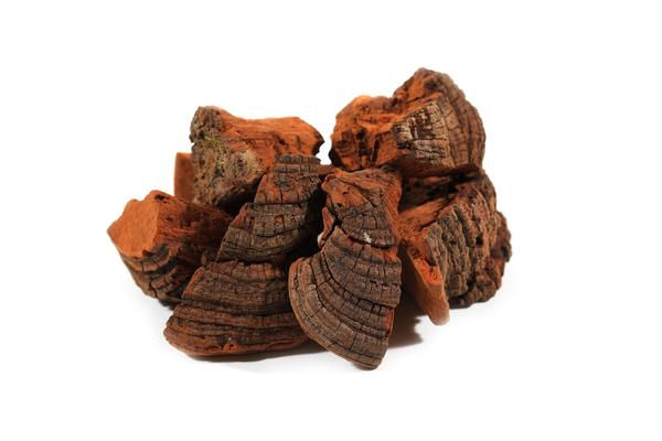 Thumbnail: Chaga Tincture
