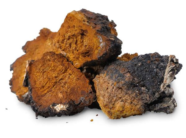 Thumbnail: Chaga Coffee 250g