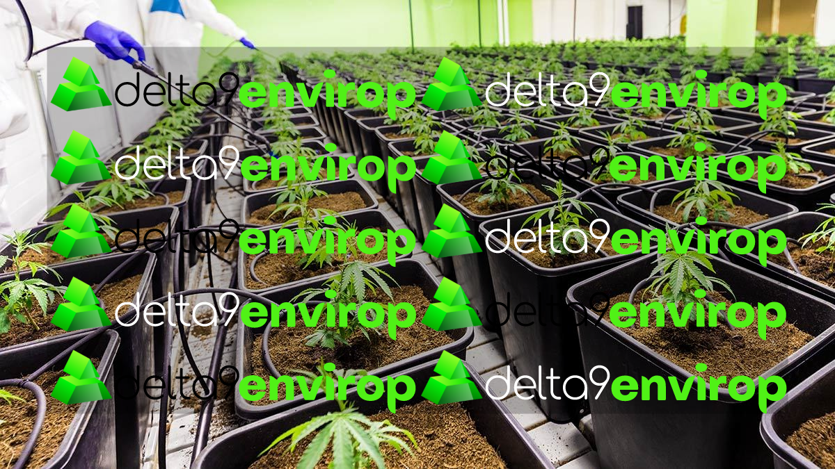 Delta 9 Envirop Share Investment