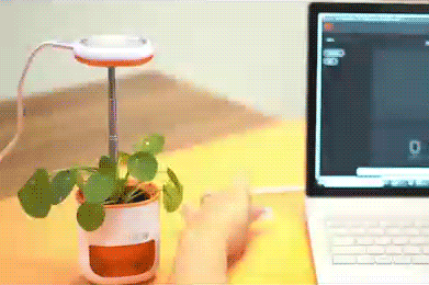 PICO-90-Sec.gif
