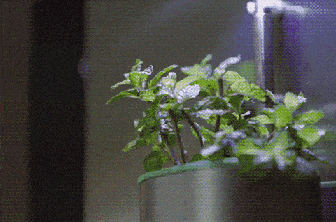 2-min.gif