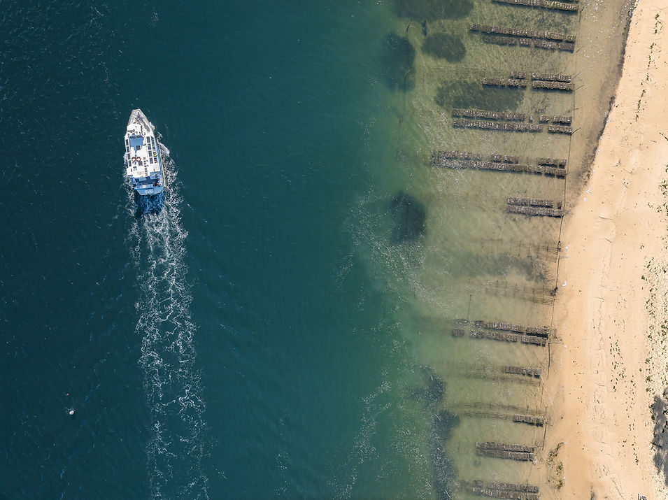 20241018-DJI_20241018101514_0112_D.jpg