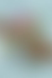 2021 Q1 Zoom Call