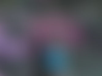 10 Most Instagrammable Spots in Portland