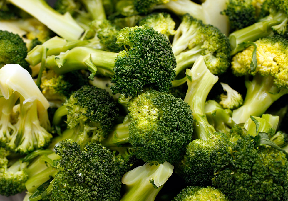 Fresh Ingredients