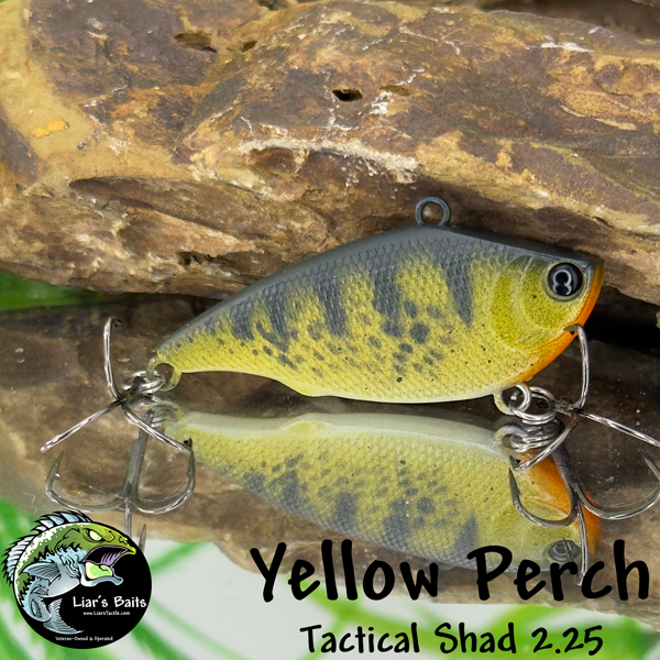 Tactical Shad