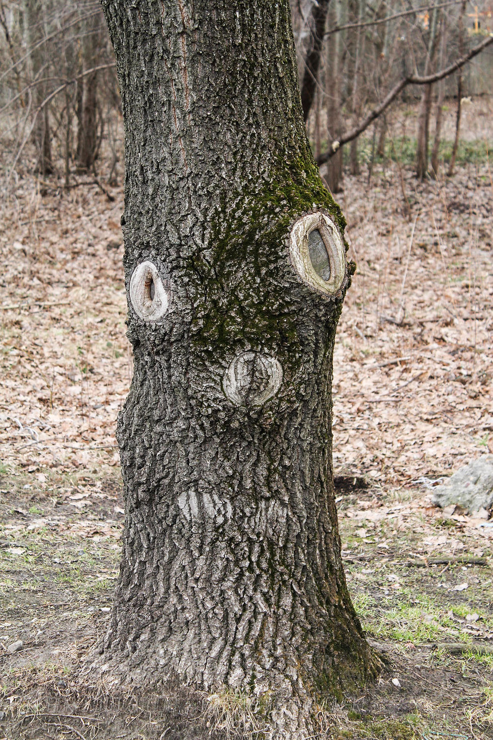 2011 marzec różne 051.jpg