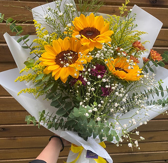 WhatsApp Image 2026-02-26 at 17.17.05.jpeg