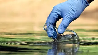 How Climate Extremes Amplify Algal Blooms—and What Water Managers Must Do