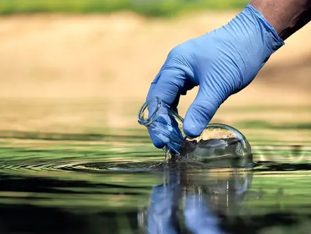 How Climate Extremes Amplify Algal Blooms—and What Water Managers Must Do
