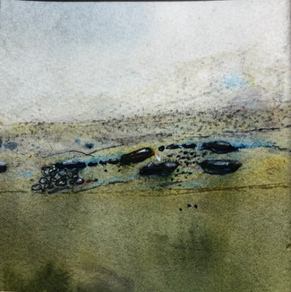 1.
Line 2 on the bio
‘I have always been creative but always longed to express …’
 Can you  delete the second ‘always’. 
2 
When clicking on Exhibitions and select one exhibition and click on it The School Gambia website comes up. I don’t think I would like that SG sight up on my website, perhaps only a link to their  website for the SGExhibition at Yalding. 
3
Could the wording for all the exhibitions be added and set the years in consecutive order staring with 2018 as I had set out in my original proposal
4
Some of the paintings in the Seascapes sections could be removed to Landscapes starting with in numerical order         No 2.     No 4         No 9.   No 11.    No 12
5
 Can the wording right at the end by Contact be deleted  between ‘about exhibitions ……….piece’
And delete the location map please. As you will gave realised I am a very private person and this with setting up a website is a challenge for me. 