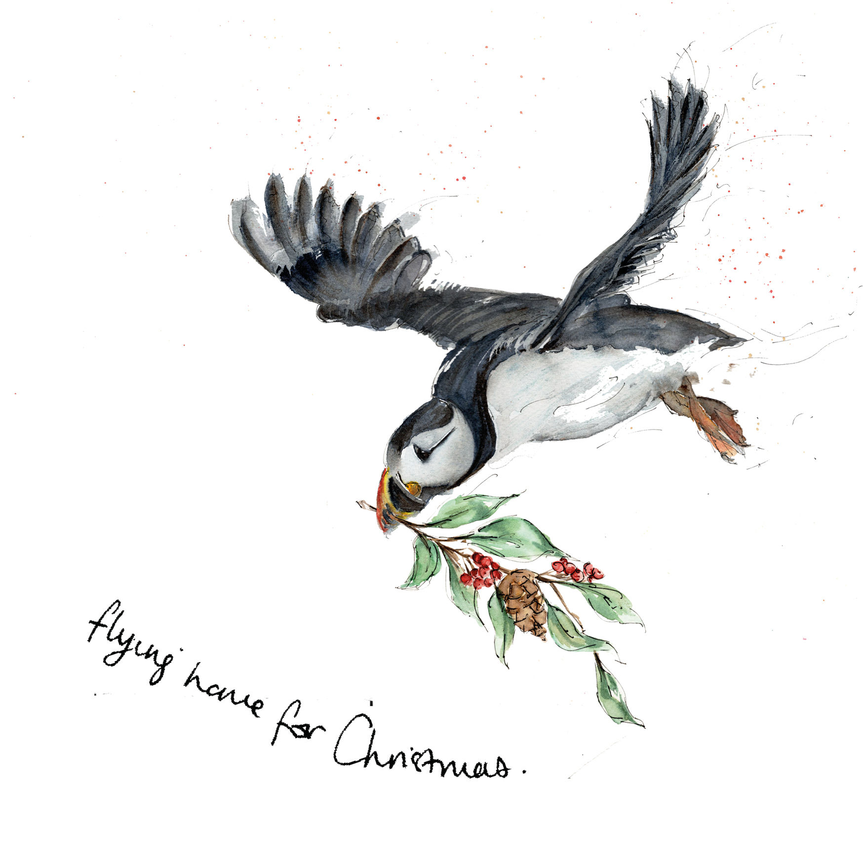 Flying Home for Christmas