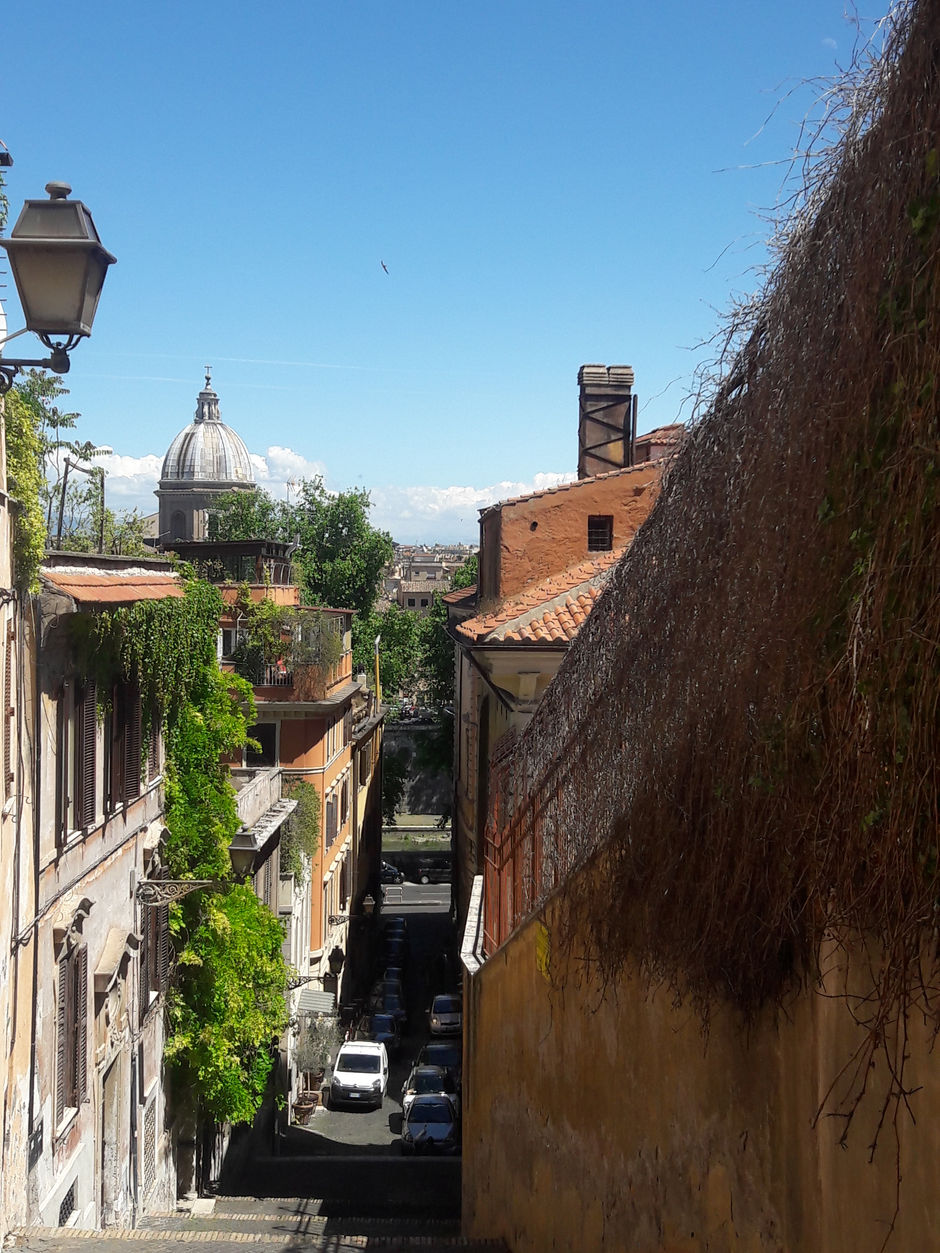 Noah and the Janiculum Hill