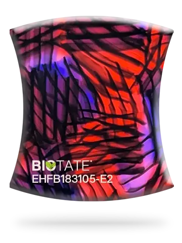 EHKBH185103_Chips_Website_imageMain_Con Codice.png