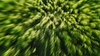 Dynamic Green Abstract.png
