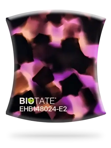 EHB148024-E2, a bio-based acetate sheet featuring Black and purple Havana with soft brown tones, from the Glow collection developed by Everlight.