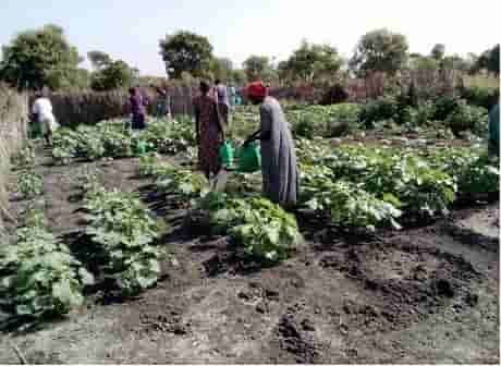 optimized_matetni_farmers_group_in_thornuom_payam_-cloud-wonder_2-1x.jpg