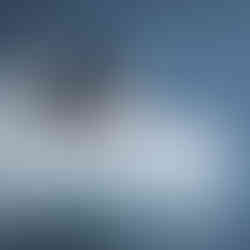 Antarctic Expedition Cruise Penguins