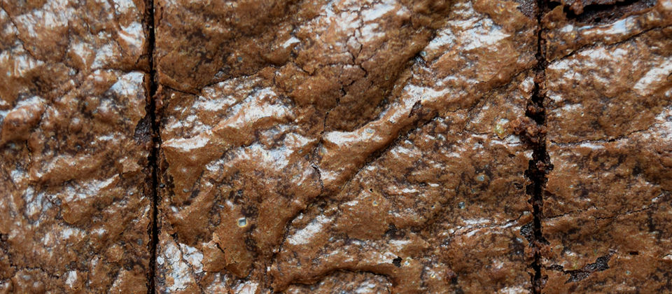 Fudgy sourdough discard brownies with shiny crackly tops and rich chocolate centers