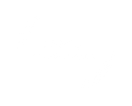 widget-plus-007-1.png