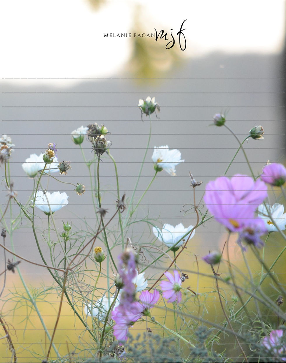 Thumbnail: Complete Bundle - Ethereal Cosmos Golden Hour {A-D & 1-3} All Pages