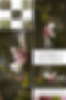 HP Joymail Image.jpg