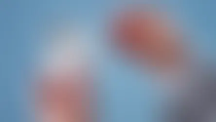 Hearing test at Monroe Hearing Aid Center to optimize hearing aids.