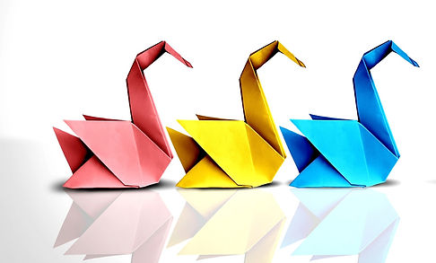 Swans_shutterstock_2190100877_edited_edited.jpg
