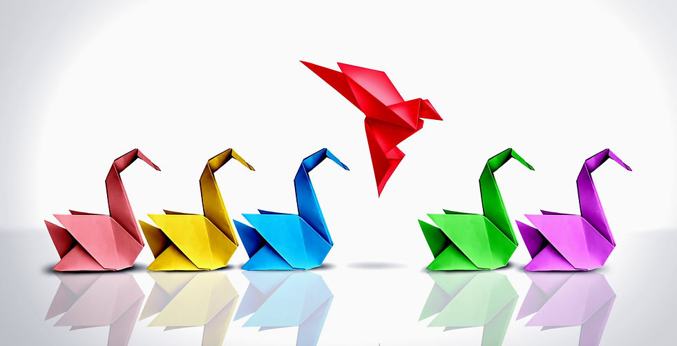 Swans_shutterstock_2190100877_edited_edited.jpg